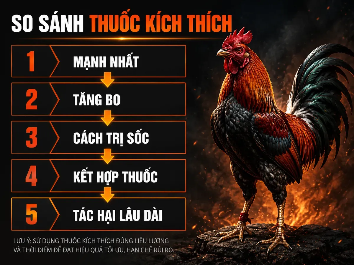 So sánh thuốc tây kích thích gà chiến, mạnh nhất, tăng bo, xử lý sốc, kết hợp thuốc, tác hại lâu dài
