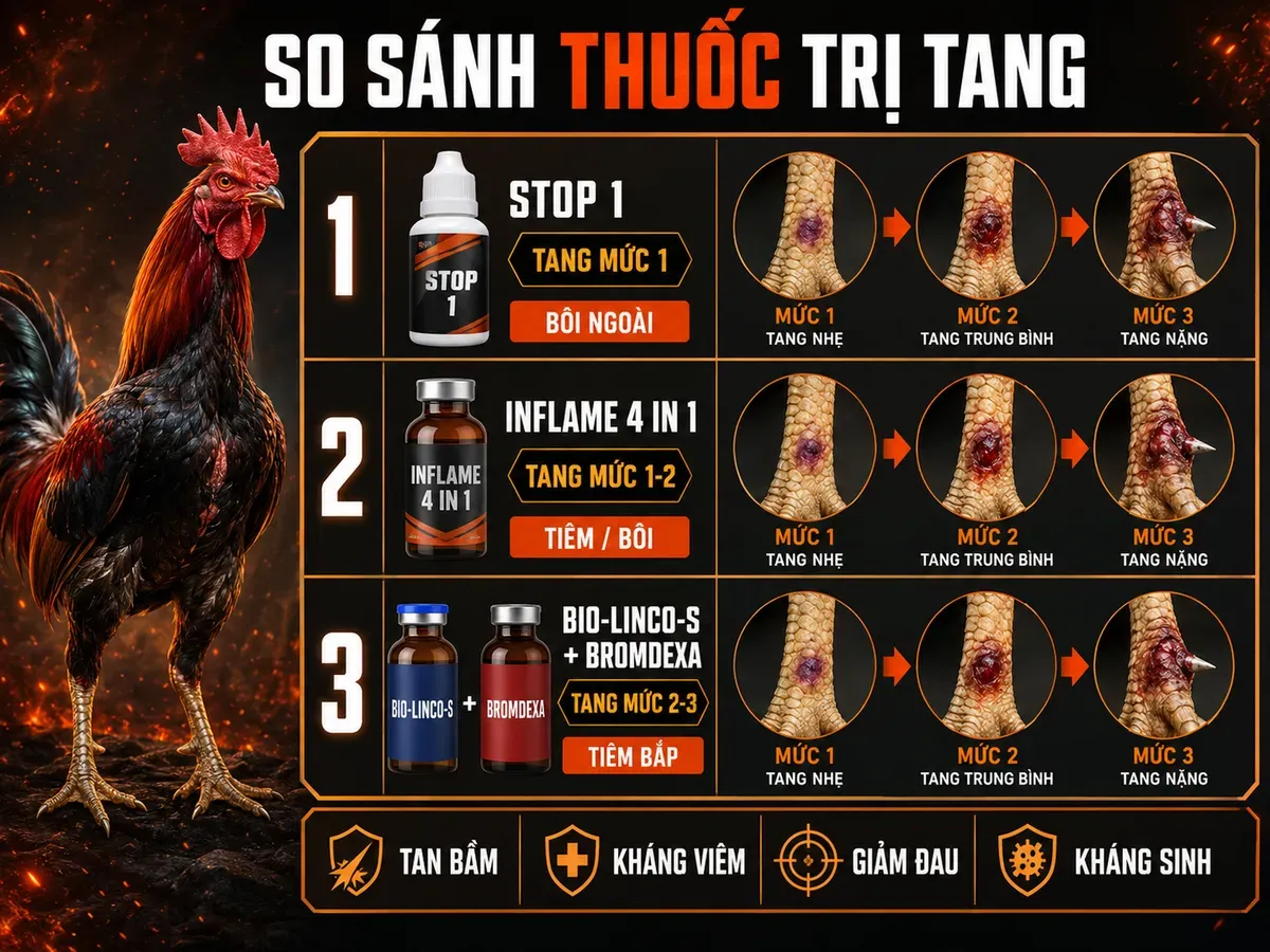Infographic so sánh STOP 1, Inflame 4 in 1 và Bio-Linco-S cho điều trị tang gà đá theo mức độ tổn thương