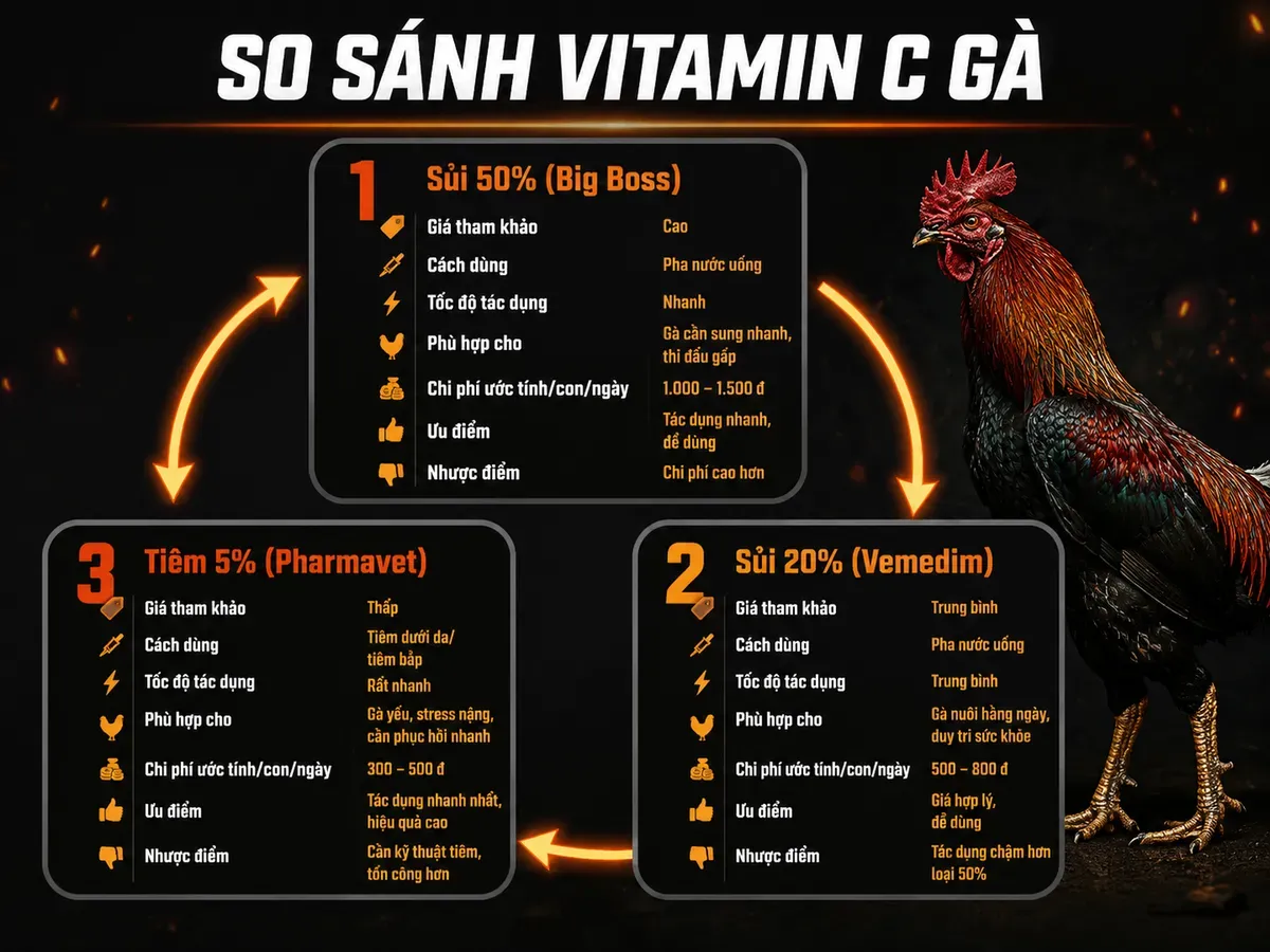 So Sánh Các Dạng Vitamin C Trên Thị Trường