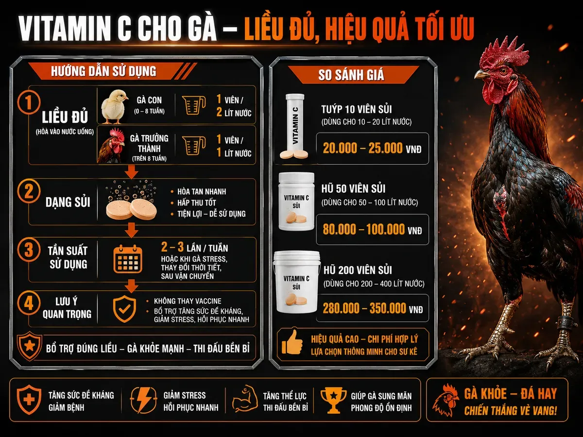 Câu Hỏi Thường Gặp Về Vitamin C Cho Gà